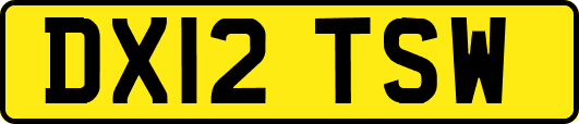 DX12TSW