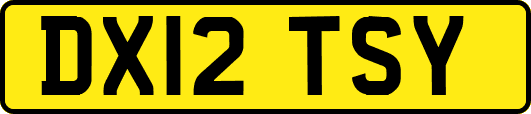 DX12TSY