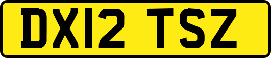 DX12TSZ