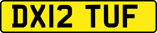 DX12TUF