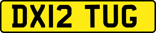 DX12TUG