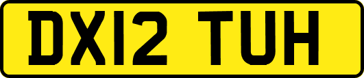 DX12TUH