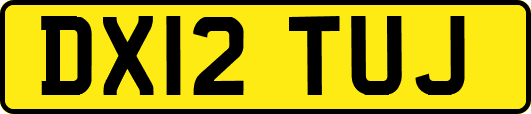 DX12TUJ