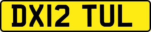 DX12TUL