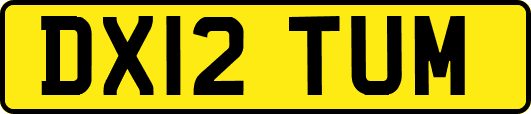DX12TUM