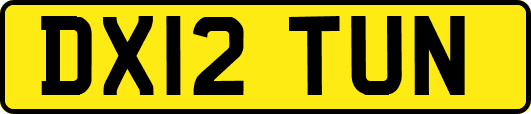 DX12TUN