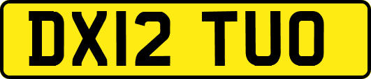 DX12TUO