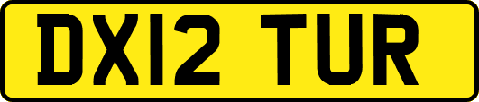 DX12TUR