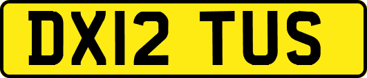 DX12TUS