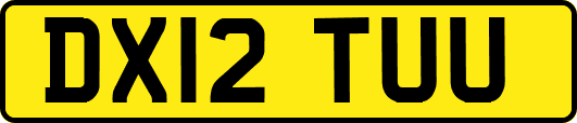 DX12TUU