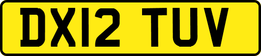 DX12TUV