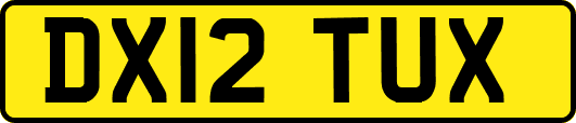 DX12TUX