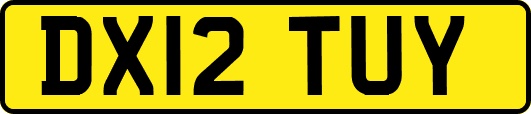 DX12TUY