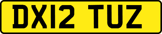 DX12TUZ