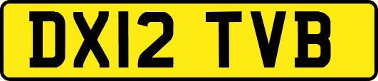 DX12TVB