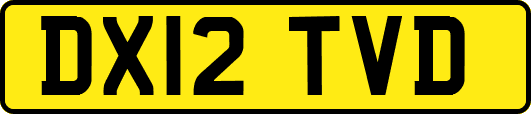 DX12TVD