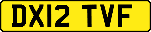 DX12TVF