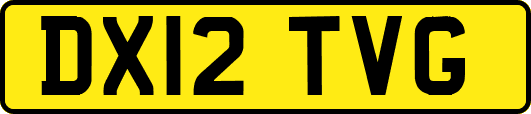 DX12TVG