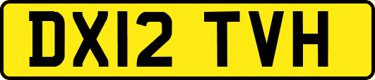 DX12TVH