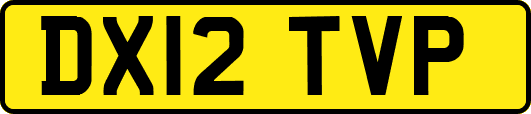 DX12TVP