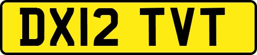 DX12TVT