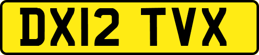 DX12TVX