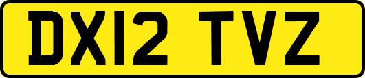 DX12TVZ