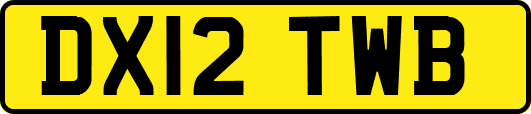 DX12TWB