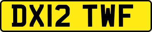 DX12TWF