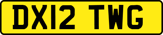 DX12TWG