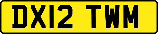 DX12TWM