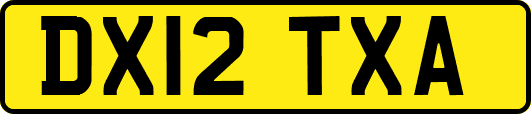 DX12TXA