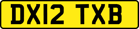 DX12TXB