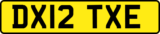 DX12TXE