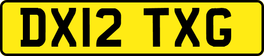 DX12TXG