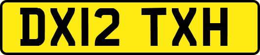 DX12TXH