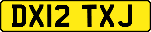 DX12TXJ