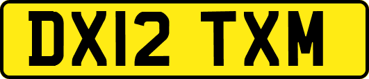 DX12TXM