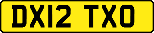 DX12TXO