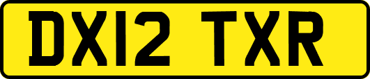 DX12TXR