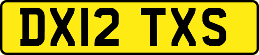 DX12TXS