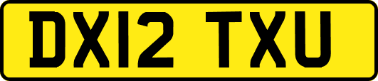 DX12TXU