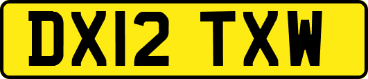 DX12TXW