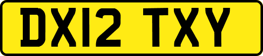 DX12TXY
