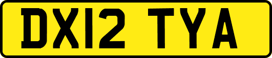 DX12TYA