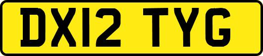 DX12TYG