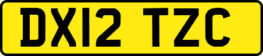 DX12TZC