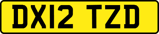 DX12TZD