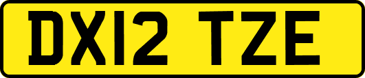 DX12TZE