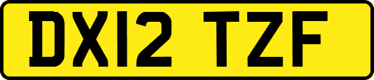 DX12TZF